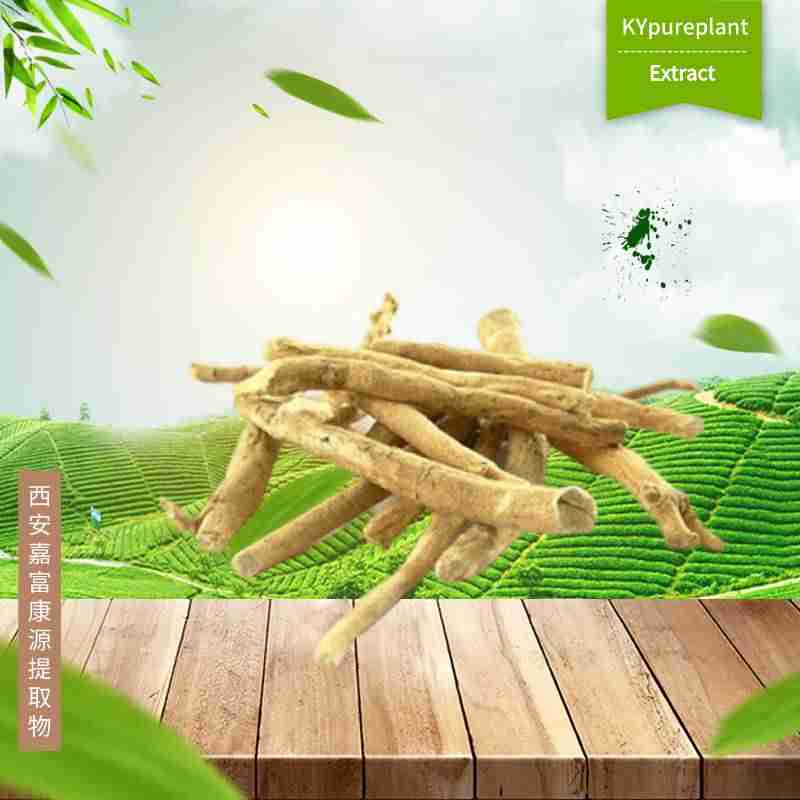 Ashwagandha Extract 5% Withanolides | Organic Certified Supplier for Supplements 3 Ashwagandha Extract