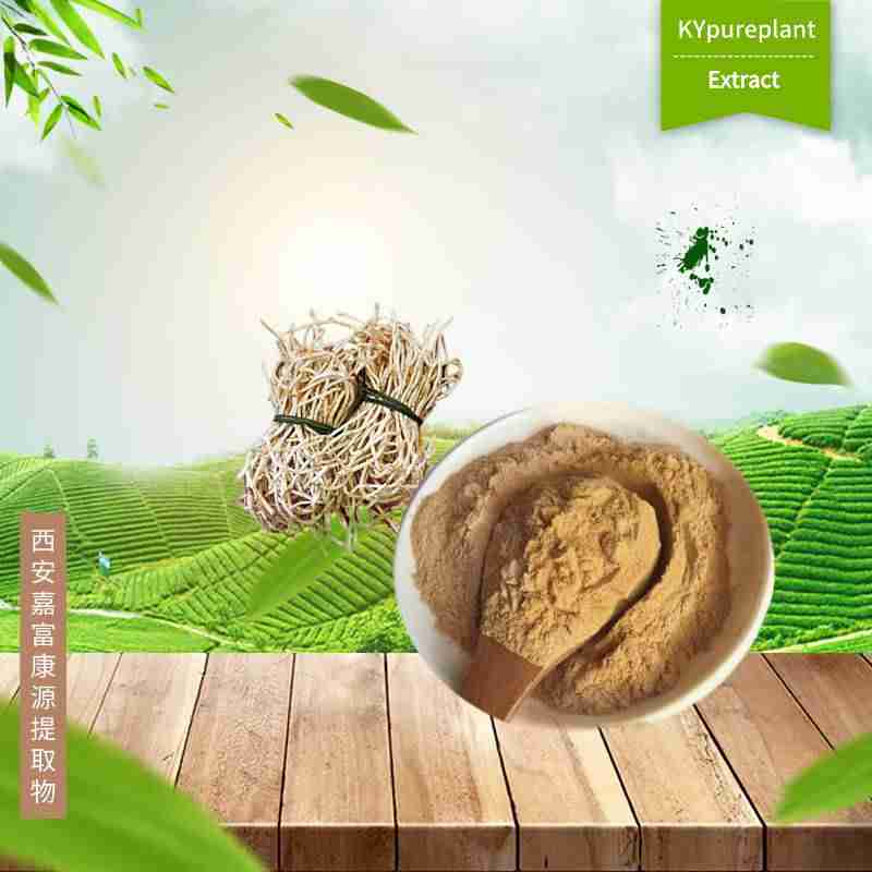 Organic Heartleaf Houttuynia Extract Powder - Premium Quality - Kangyuan Herb 2 Organic Heartleaf Houttuynia Extract Powder
