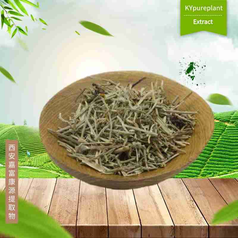 Organic Horsetail Extract Powder | Horsetail Extract Supplement Wholesale - Kangyuan Herb 2 Organic Horsetail Extract