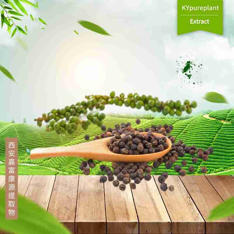 95% Piperine Extract Powder | Bulk Supplier & Manufacturer 3 Piperine Extract Powder