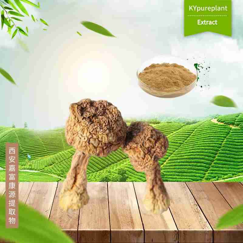 Organic Agaricus Blazei Extract 3 Organic Agaricus Blazei Extract