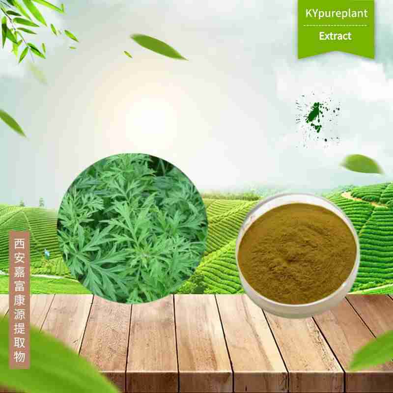 Organic Capillary wormwood herb extract 3 Organic Capillary wormwood herb extract