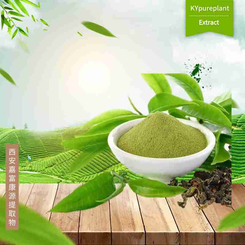 Organic Green Tea Extract powder manufacturers & suppliers 1 Organic Green Tea Extract