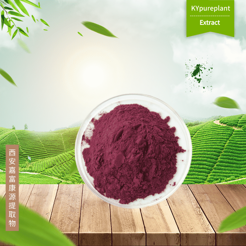 High OPC Organic Grape Seed Extract Powder | Antioxidant Ingredient Supplier - Kangyuan Herb 1 Organic Grape Seed Extract Powder