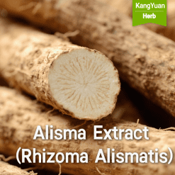 Alisma Extract (Rhizoma Alismatis) | Natural Diuretic Ingredient Supplier - Kangyuan Herb