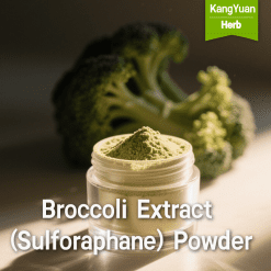 Broccoli Extract (Sulforaphane) Powder | High Content Antioxidant Ingredient Supplier - Kangyuan Herb