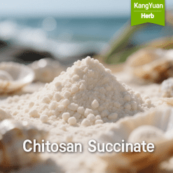 Chitosan Succinate | High-Quality Plant Extract Supplier - Kangyuan Herb