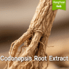 Codonopsis Root Extract | Natural Qi & Spleen Tonic Ingredient Supplier - Kangyuan Herb 1 CodonopsisRootExtract 2025 05 1616 59 33