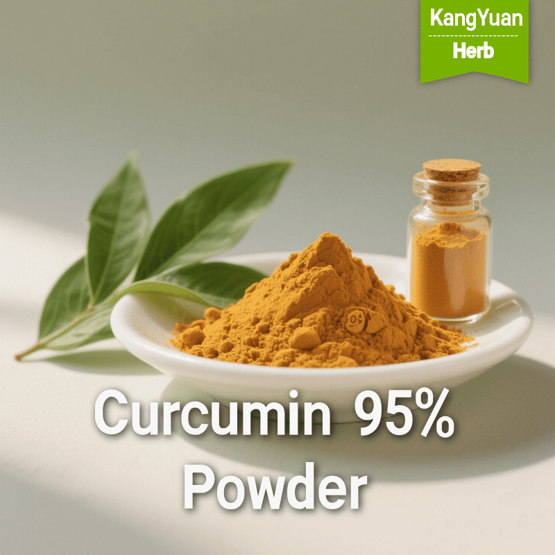 Curcumin 95% Powder | High Purity Turmeric Extract Supplier 3 Curcumin95Powder 2025 05 1803 08 59
