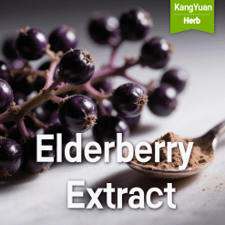 Elderberry Extract | Immunity Support Ingredient Supplier - Kangyuan Herb