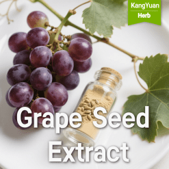 Grape Seed Extract | High OPCs & Antioxidant Supplier - Kangyuan Herb