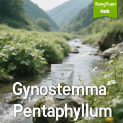 Buy High-Quality Gynostemma Pentaphyllum Extract Powder - Kangyuan Herb
