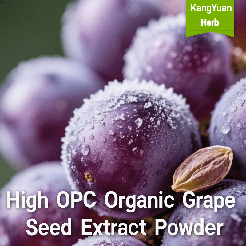 High OPC Organic Grape Seed Extract Powder | Antioxidant Ingredient Supplier - Kangyuan Herb 2 HighOPCOrganicGrapeSeedExtractPowder 2025 05 1805 26 30