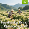 Honeysuckle Extract Chlorogenic Acid | Natural Anti-inflammatory Antiviral Supplier - Kangyuan Herb 2 HoneysuckleExtractChlorogenicAcid 2025 05 1804 58 08