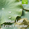 Lotus Leaf Extract Powder (98% Nuciferine) | High Purity Supplier - Kangyuan Herb 1 LotusLeafExtractPowder 2025 05 1808 08 22