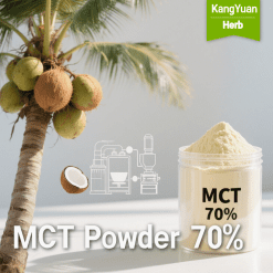 MCT Powder 70% - Premium Medium Chain Triglycerides Supplier | Kangyuan Herb