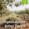Organic Apricot Kernel Extract | Standardized Amygdalin Supplier - Kangyuan Herb 1 OrganicApricotKernelExtract 2025 05 1821 38 32