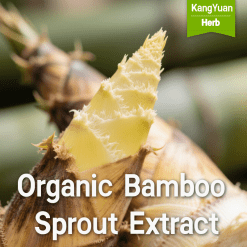 Organic Bamboo Sprout Extract | Natural High Silica Content Supplier - Kangyuan Herb