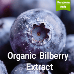 Organic Bilberry Extract | High Anthocyanins Supplier - Kangyuan Herb