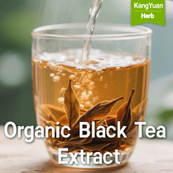 Organic Black Tea Extract | High Theaflavins Supplier - Kangyuan Herb
