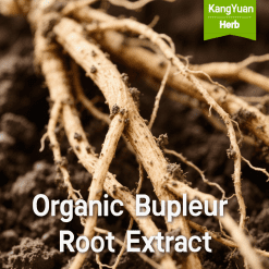 Organic Bupleur Root Extract | High Saikosaponins Supplier - Kangyuan Herb