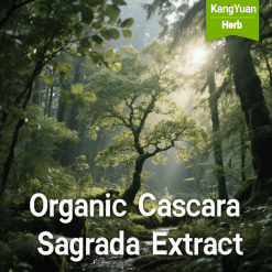 Organic Cascara Sagrada Extract | Natural Laxative Ingredient Supplier - Kangyuan Herb