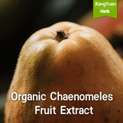 Organic Chaenomeles Fruit Extract | Natural Plant Extract Supplier - Kangyuan Herb