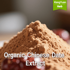 Organic Chinese Date Extract | Certified Nourishing Ingredient Supplier - Kangyuan Herb