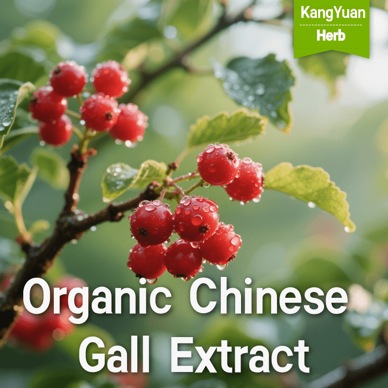 Organic Comus Officinalis Extract 3 OrganicChineseGallExtract 2025 05 1920 23 55