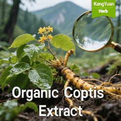 Organic Coptis Extract | High Berberine Content Supplier - Kangyuan Herb