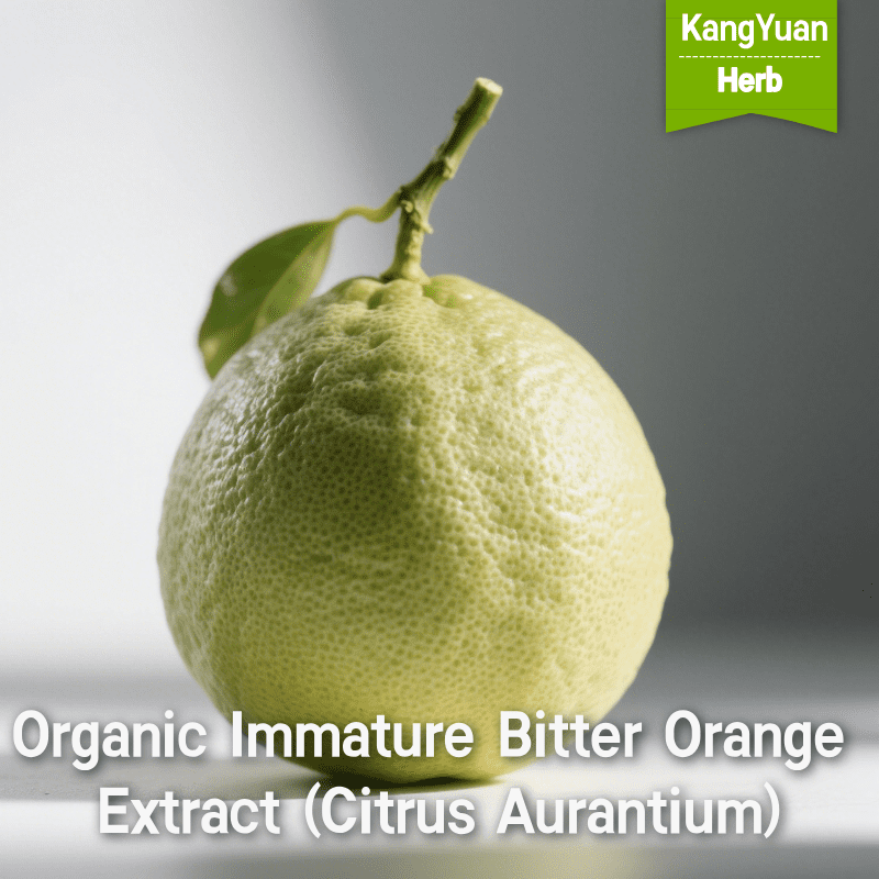 Organic Immature Bitter Orange Extract (Citrus Aurantium) | Synephrine Supplier - Kangyuan Herb 2 OrganicImmatureBitterOrangeExtractCitrusAur 2025 05 1923 29 10