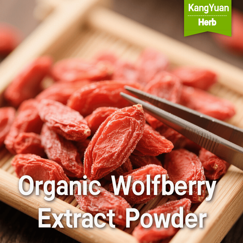 Organic Wolfberry Extract Powder - High-Quality Supplier | Kangyuan Herb 3 OrganicWolfberryExtractPowder 2025 05 1808 47 34