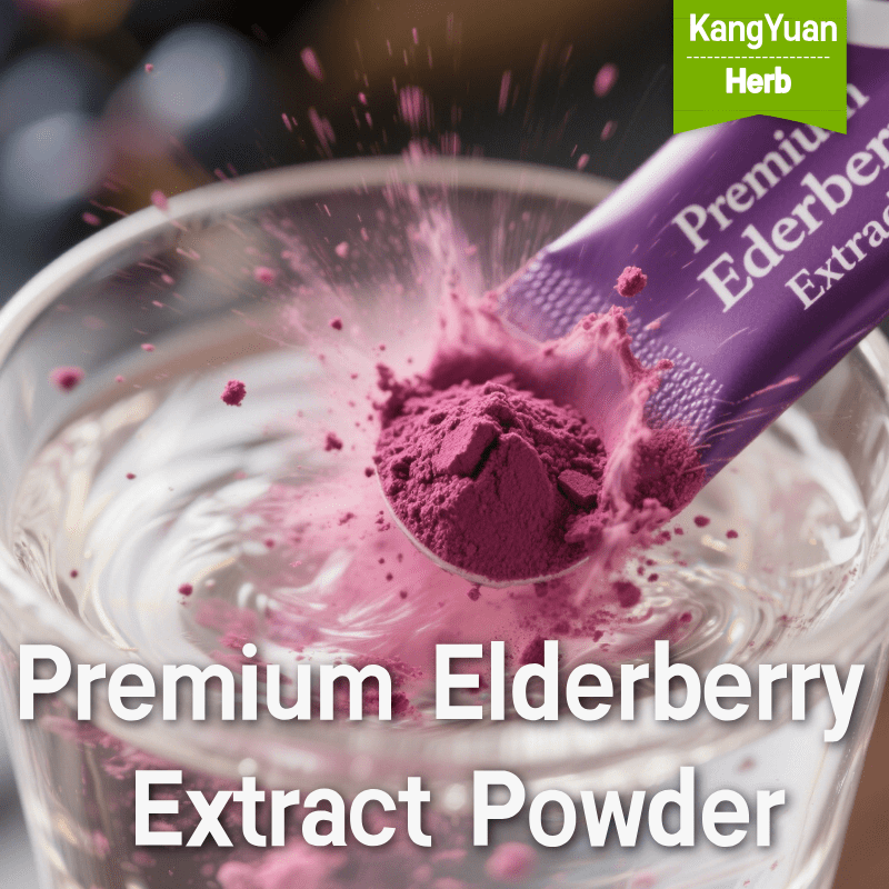 Boost Immunity with Premium Elderberry Extract Powder - Kangyuan Herb 1 PremiumElderberryExtractPowder 2025 05 1609 29 01