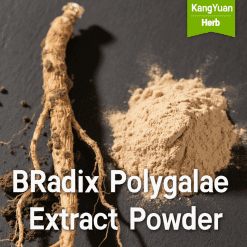 Buy High-Quality Organic Radix Polygalae Extract Powder | Kangyuan Herb
