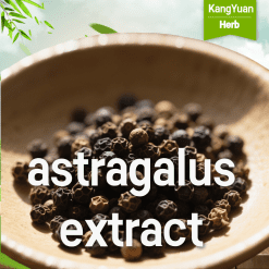 Astragalus Extract | High Polysaccharides/Astragalosides Natural Immune Support Supplier - Kangyuan Herb