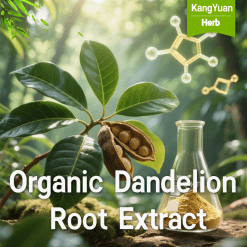 Buy High-Quality 5-HTP Griffonia Seed Extract Powder | Kangyuan Herb