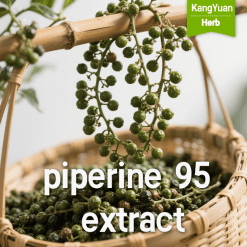95% Piperine Extract Powder | Bulk Supplier & Manufacturer