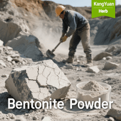 Bentonite Powder / Clay | High Purity Bulk Supplier - Kangyuan Herb