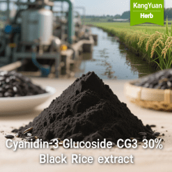 Cyanidin-3-Glucoside CG3 30% Black Rice extract