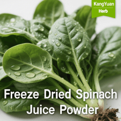 Freeze Dried Spinach Juice Powder (100% Water Soluble) | Natural Green Colorant Supplier - Kangyuan Herb