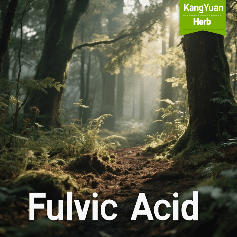 Fulvic Acid | Natural Mineral Nutrient Supplement Supplier - Kangyuan Herb 2 FulvicAcid 2025 05 1804 18 00