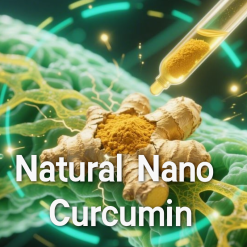 Curcumin 40% Extract Powder | Natural Anti-Inflammatory Antioxidant Ingredient - Kangyuan Herb