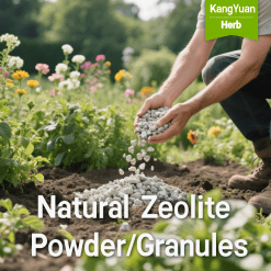 Natural Zeolite Powder/Granules | High-Quality Multifunctional Mineral Supplier - Kangyuan Herb