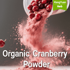 Organic Cranberry Powder | High PACs Content Natural Nutrient Supplier - Kangyuan Herb