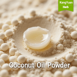Coconut Oil Powder Supplier | Bulk Natural Ingredient - Kangyuan Herb