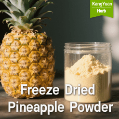 Freeze Dried Pineapple Powder | Halal Natural Premium Food Ingredient Supplier - Kangyuan Herb