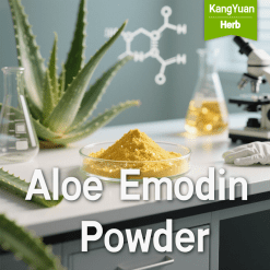 Aloe Emodin Powder | High Purity Natural Ingredient Supplier - Kangyuan Herb