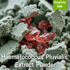 Haematococcus Pluvialis Extract Powder | High Astaxanthin Potent Antioxidant Supplier - Kangyuan Herb