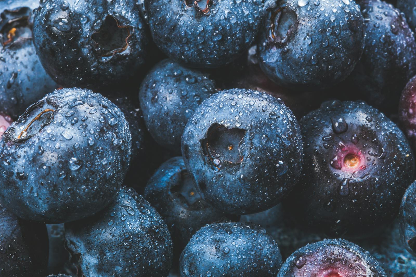 Plant Extracts for Foods: Enhancing Flavors and Health Benefits 1 Featured image