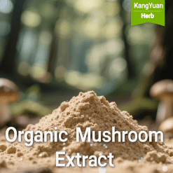 Bulk Organic Plant Extracts & Natural Ingredients Supplier | Kangyuan Herb 2 Organic Mushroom Extract Powder Supplier | USDA Certified | Bulk Pricing